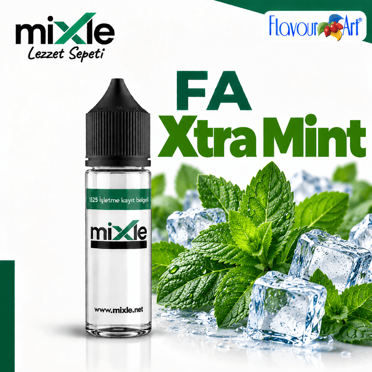 Flavour Art – Xtra Mint — 10 ML